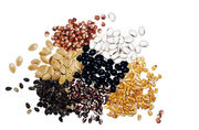 Seeds (1)
