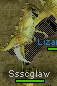 Ssscglaw