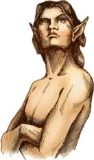 Elfe des bois