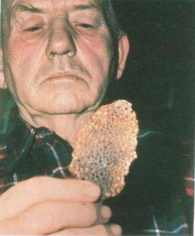 File:Pancake.jpg