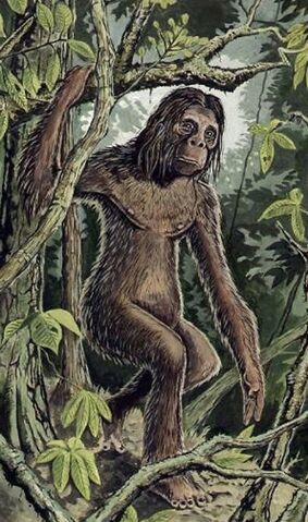 File:RockApe.jpg