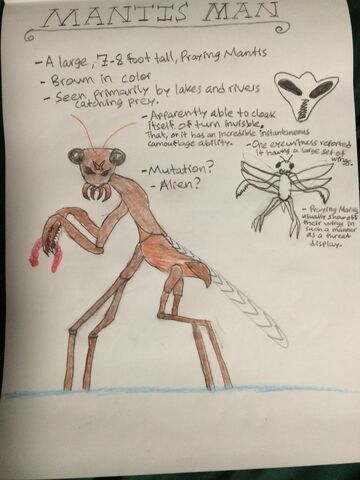 File:Mantis.jpg