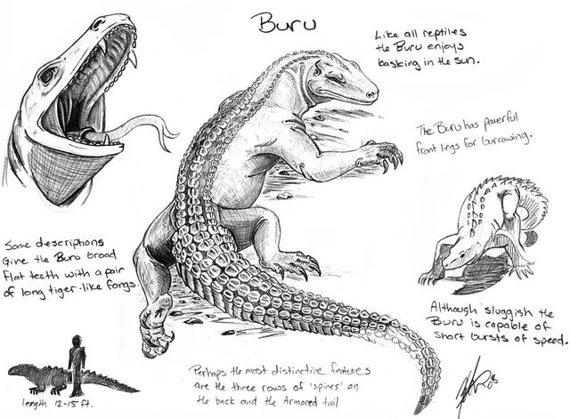 File:Buru2.jpg