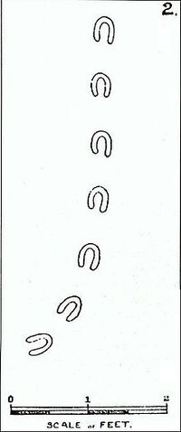File:Footprint2.jpg