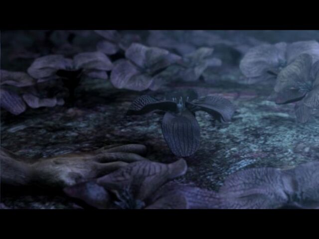 File:Deadflower.jpg