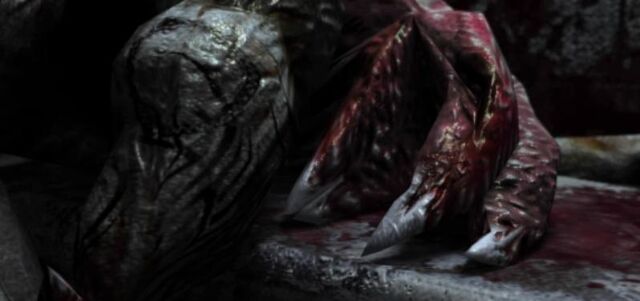 File:Crawlers123.jpg