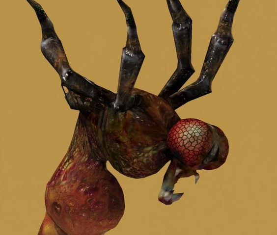 File:PortraitCrawlerFly.png