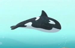 Orca