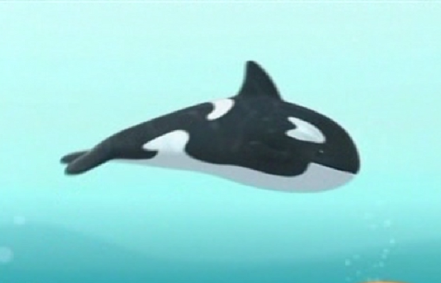 File:Orca.png