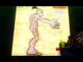 Thumbnail for version as of 06:11, August 5, 2010