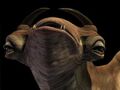 Thumbnail for version as of 01:35, April 27, 2009
