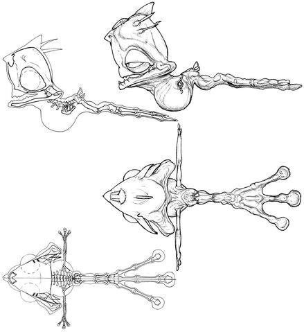 File:Tumblr mc78otzJlM1qgb1o5o5 1280.jpg