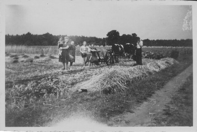 Datei:IMG 0003.jpg