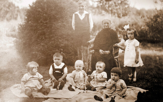 Datei:Heino albert herbert.jpg
