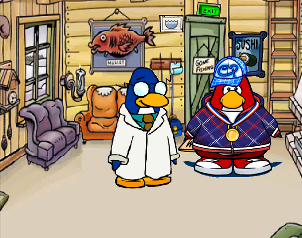 File:Base Attic.png