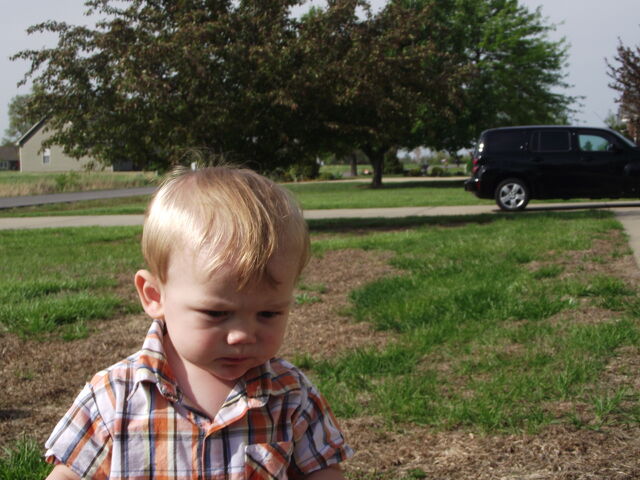 File:Riley.jpg