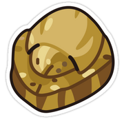 Dome Fossil