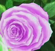 Sterlingrose (2)