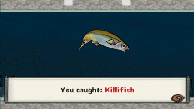 File:Killifish.jpg