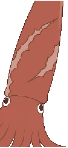 File:Squid 1.png