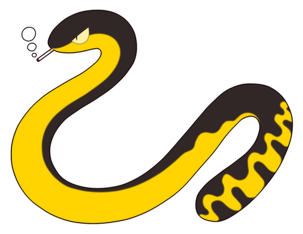 File:Seguro.png