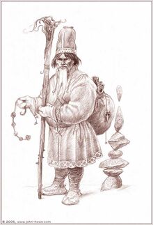 WIZ-Lapp-Shaman-port
