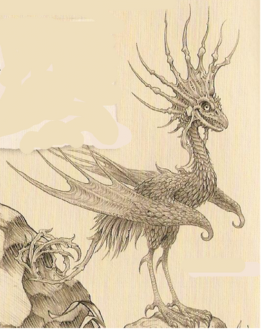 File:Cockatrice Dragon.png