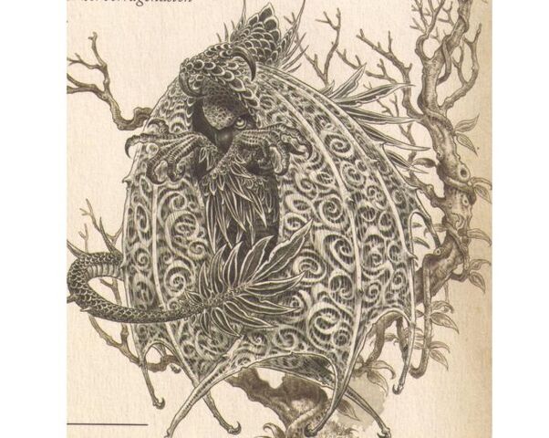 File:Draco americanus incognito.jpg