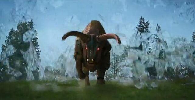 File:Bull.jpg