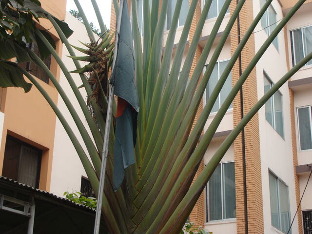 File:DSC03988.jpg