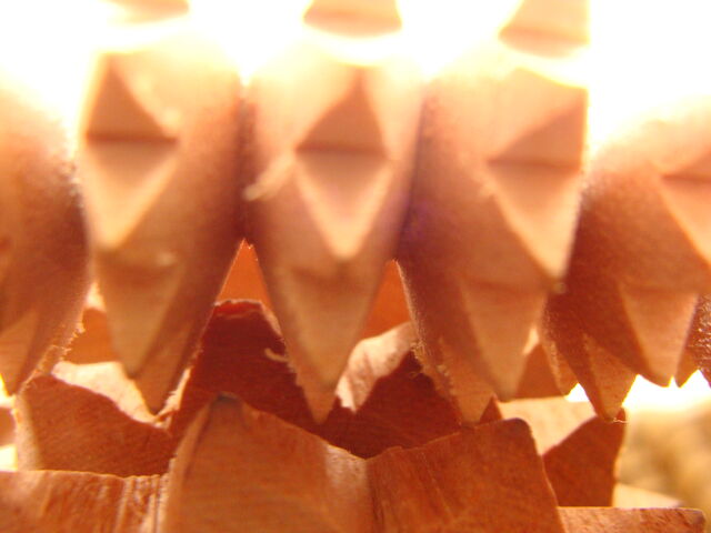 File:DSC03809.jpg