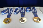 Olympics medal Sochi 2014