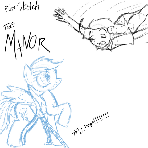 File:Plot the manor.png