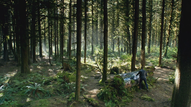 Fichier:6x07 forêt de Storybrooke cercueil de verre Mary Margaret Blanchard David Nolan retrouvailles.png
