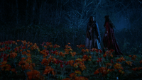 5x18 champ prairie de coquelicots fleurs pavots Dorothy Gale Ruby Chaperon Rouge sourire surnoms