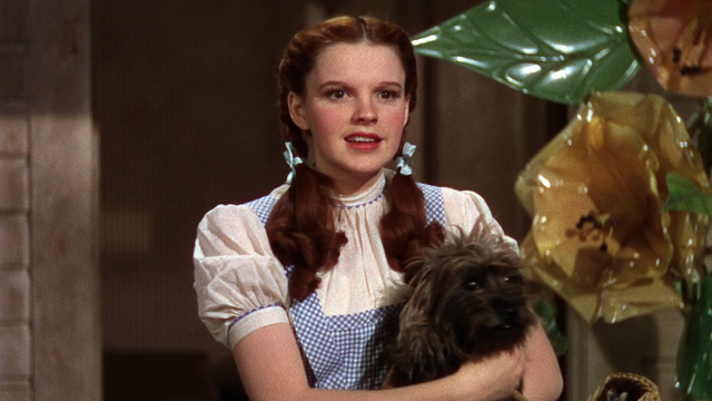 Fichier:Le Magicien d'Oz (film) 1939 Dorothy Gale Dorothée Carter chien Toto arrivée Pays d'Oz.png