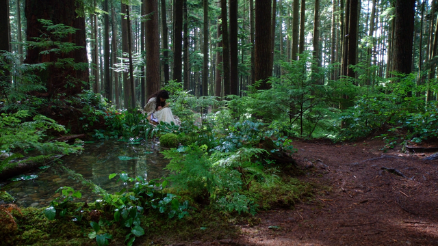 Fichier:1x07 Blanche-Neige écriture lettre forêt enchantée mare point d'eau.png