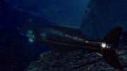 Nautilus.png