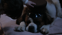 2x21 Michel Darling Nana chien saint-bernard chapeau casquette.png