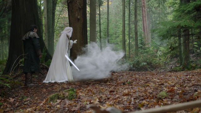 Fichier:6x11 Emma Swan téléportation.png