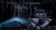 Sirenas.png
