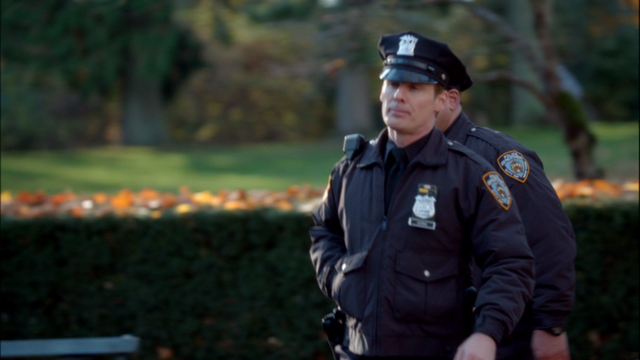 Bestand:NY Agent.png
