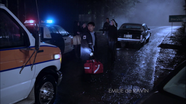 Bestand:Paramedicus.png