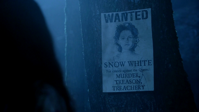 Fichier:2x07 Avis de recherche.png