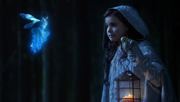 Shot 2x15 Snow Blaue Fee.png