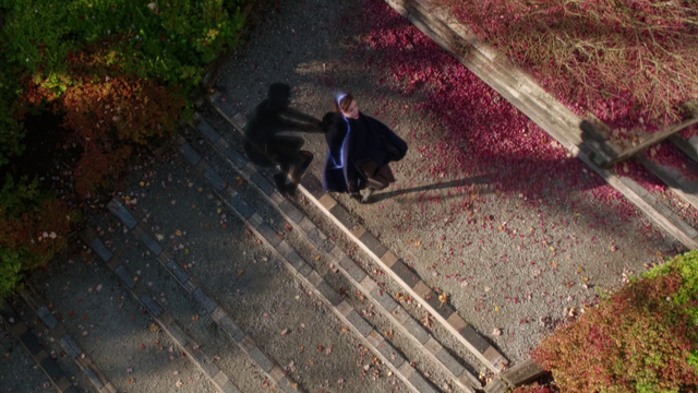 File:310BirdsEyeView.png