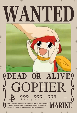 File:GopherWantedPoster.png
