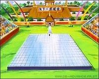 Tournoi Shinobi.jpg