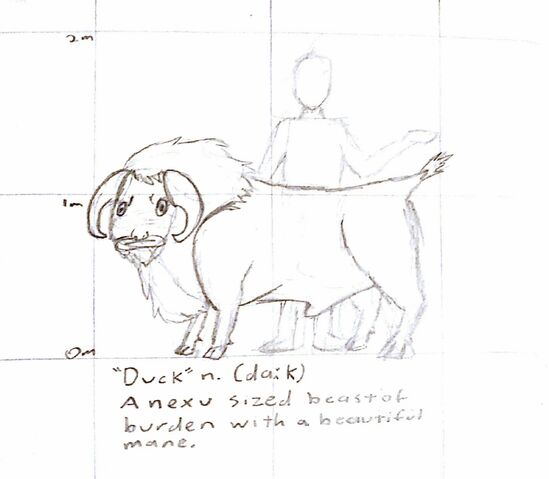 File:Duck.jpg
