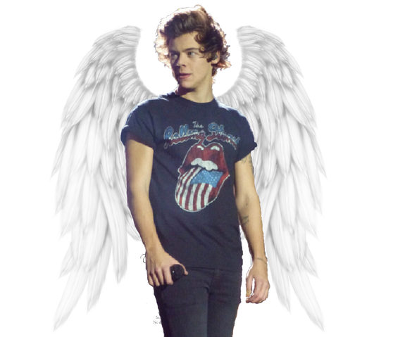 File:Harry Angel.png